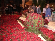 200801-Berti Geburtstag-Fruehling026